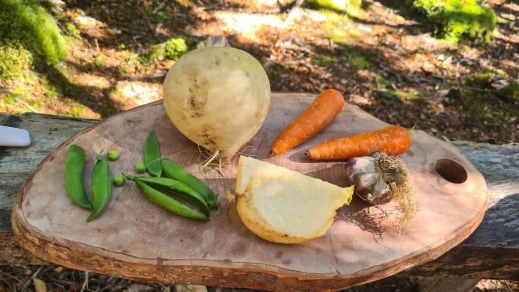 Caleta Tortel El Menú de Chile