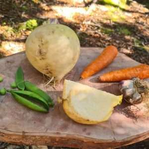 Caleta Tortel El Menú de Chile