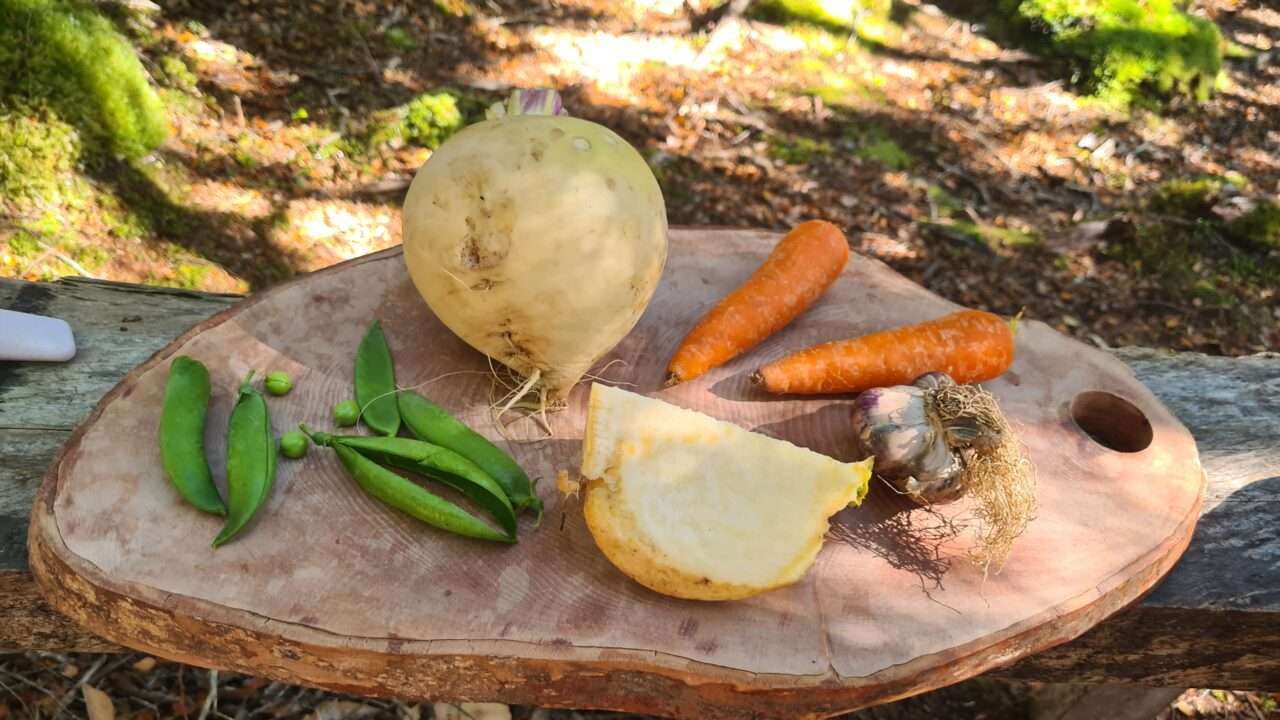 Caleta Tortel El Menú de Chile