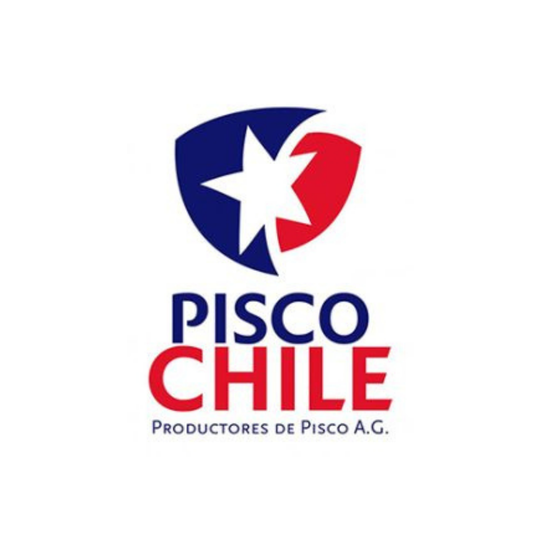 psico chile